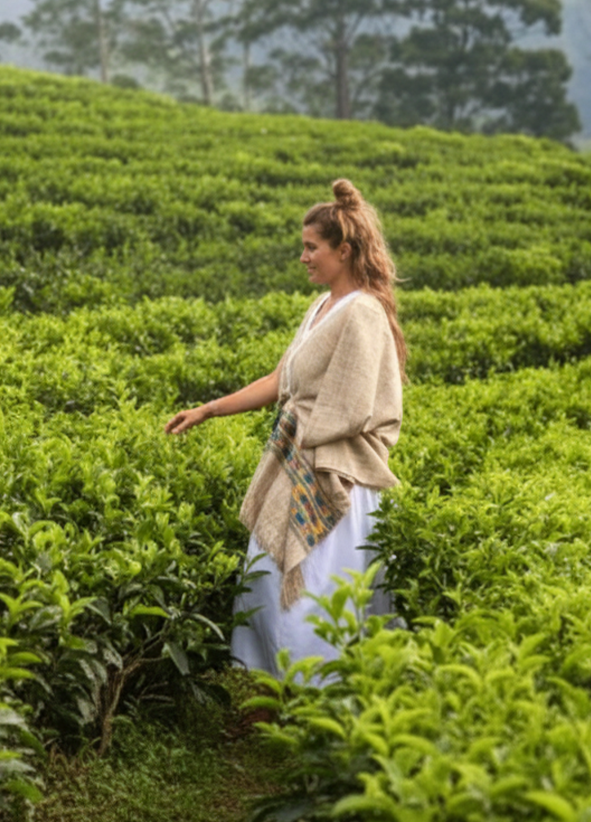 Hill Country Tours Sri Lanka - Tea Plantations & Mountains
